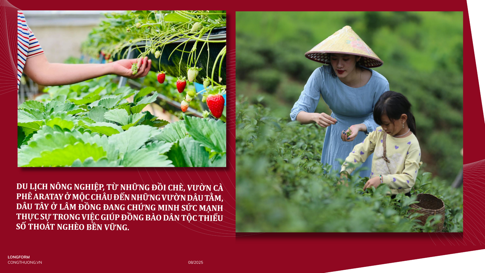 Longform | Du lịch nông nghiệp: Cơ hội vàng giúp đồng bào dân tộc thiểu số thoát nghèo bền vững - 9
