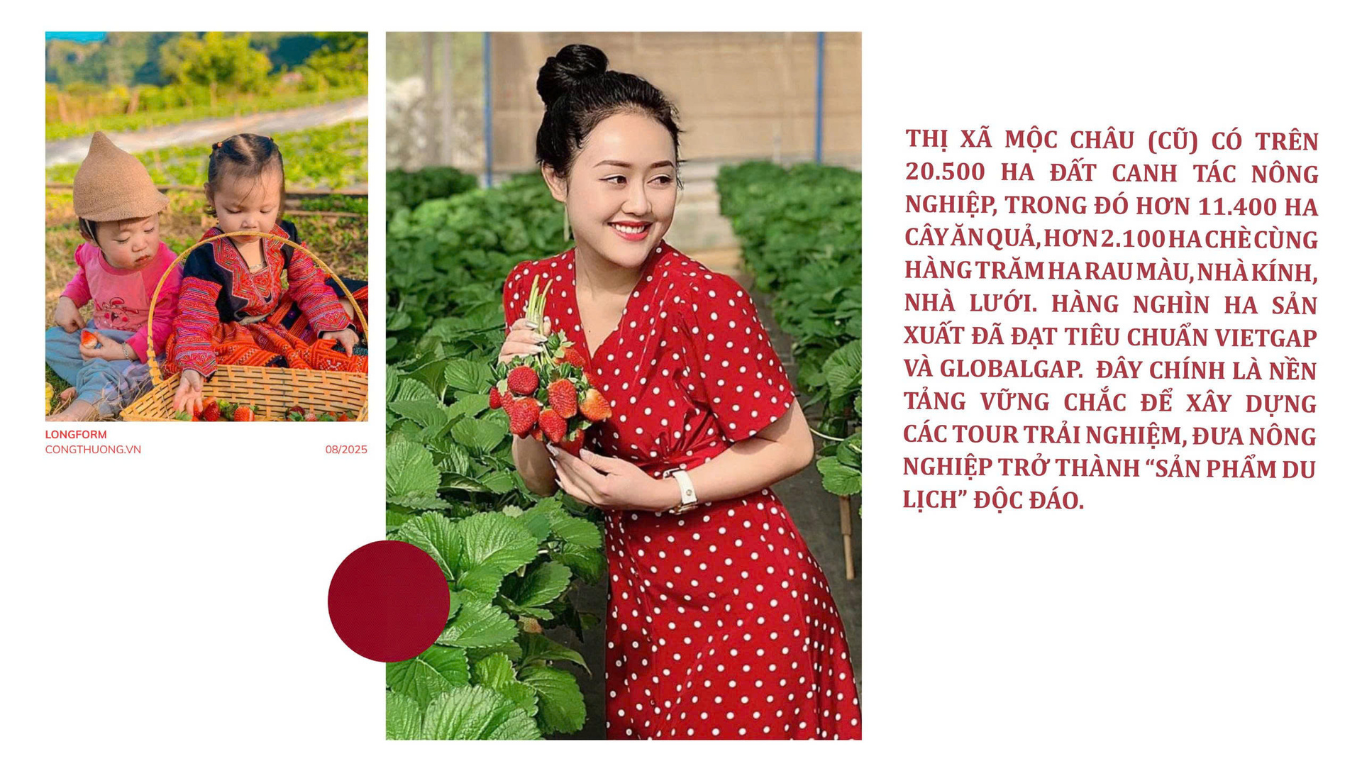 Longform | Du lịch nông nghiệp: Cơ hội vàng giúp đồng bào dân tộc thiểu số thoát nghèo bền vững - 2
