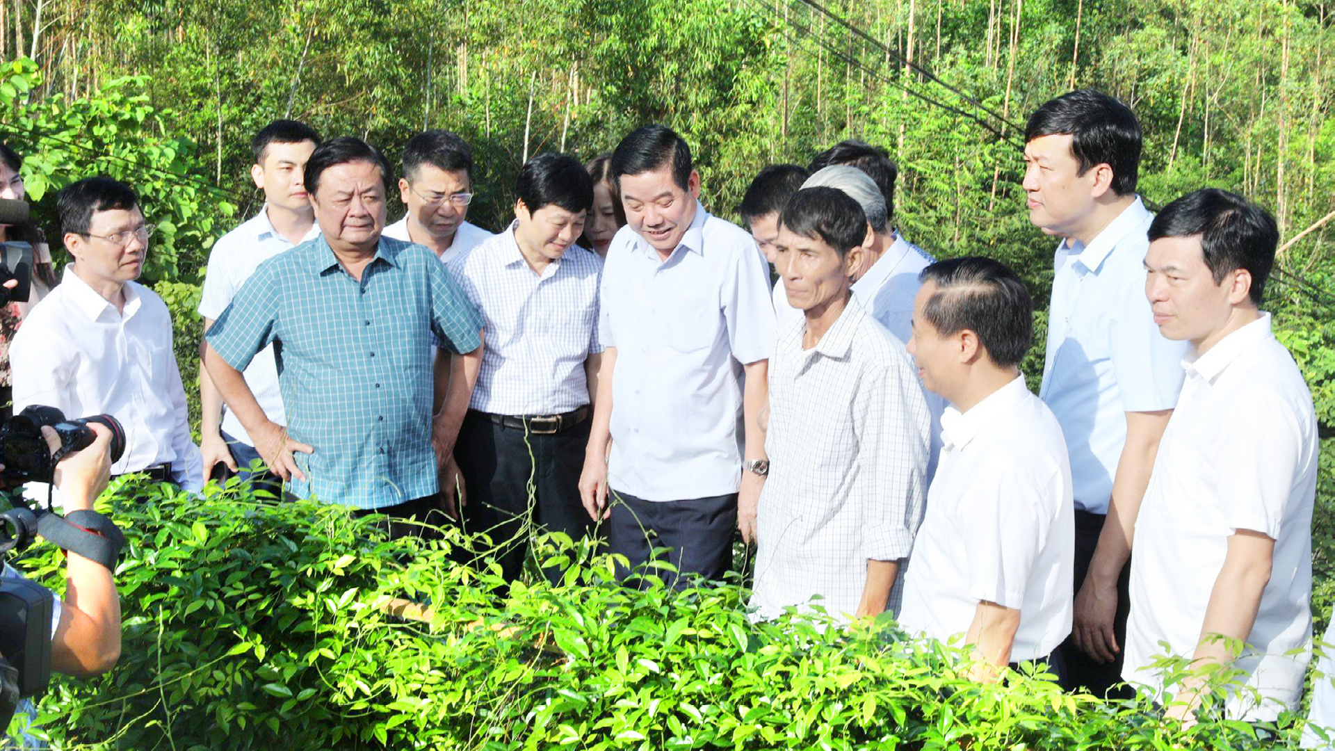 Ông Lê Minh Hoan, Phó chủ tịch Quốc hội và lãnh đạo tỉnh Bắc Ninh thăm quan mô hình trồng sâm nam núi Dành. Ảnh Báo Nhân dân