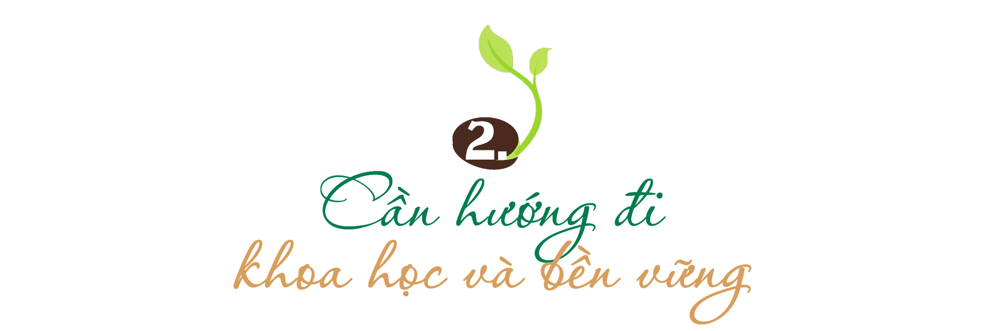 Cây dược liệu mở lối thoát nghèo cho đồng bào - 3