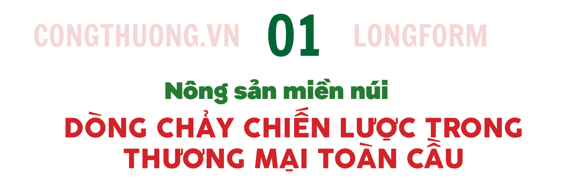 Longform | ‘Khơi thông’ dòng chảy nông sản miền núi bằng xúc tiến thương mại: Bài 1 - 1
