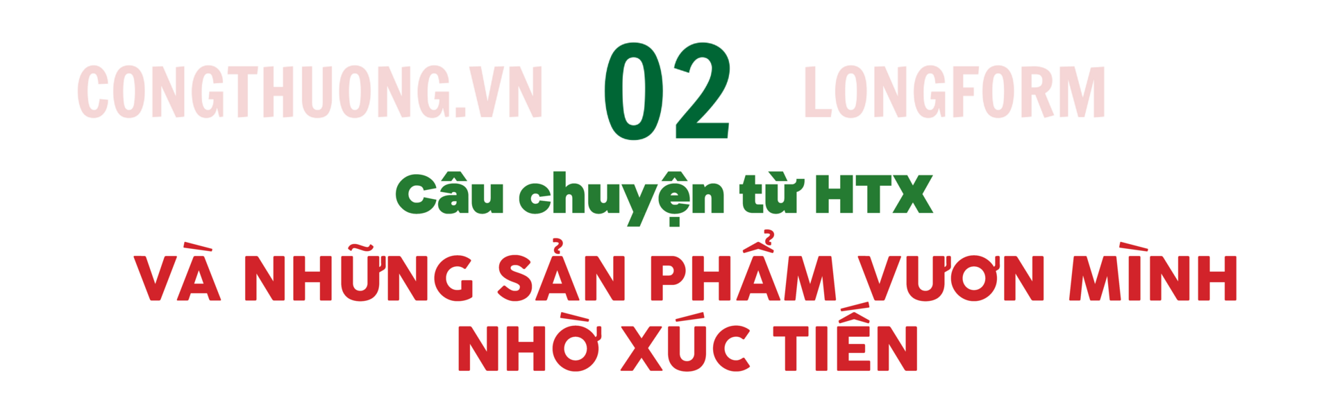 Longform | ‘Khơi thông’ dòng chảy nông sản miền núi bằng xúc tiến thương mại: Bài 1 - 4