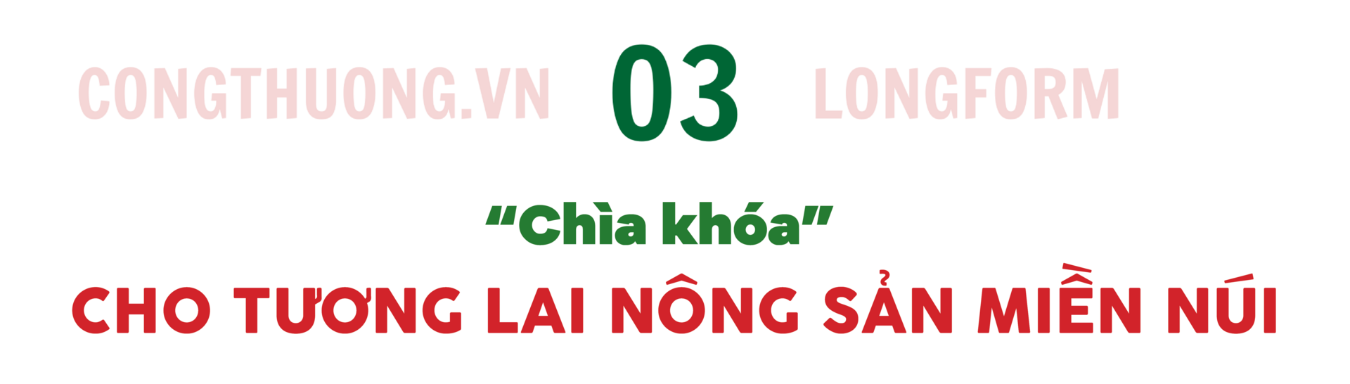 Longform | ‘Khơi thông’ dòng chảy nông sản miền núi bằng xúc tiến thương mại: Bài 1 - 7