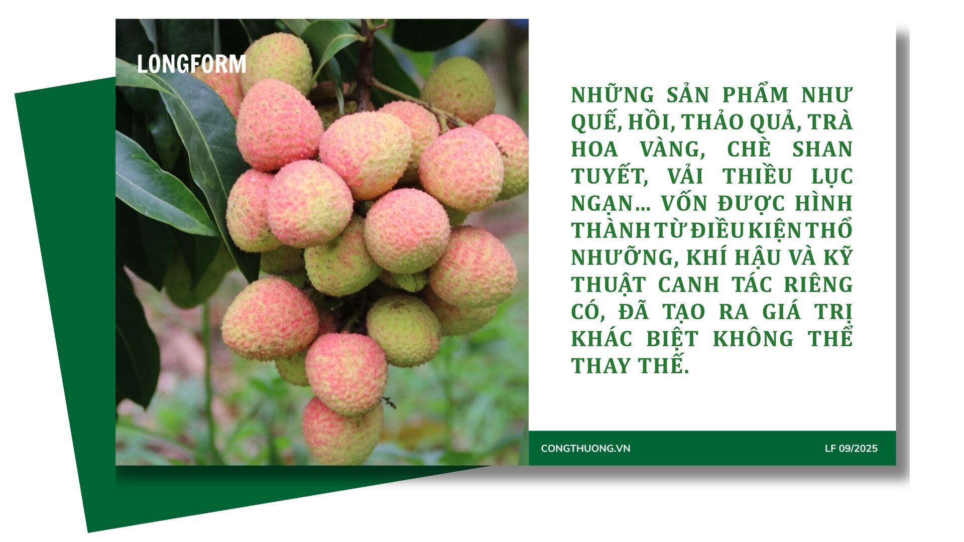 Longform | ‘Khơi thông’ dòng chảy nông sản miền núi bằng xúc tiến thương mại: Bài 1 - 2