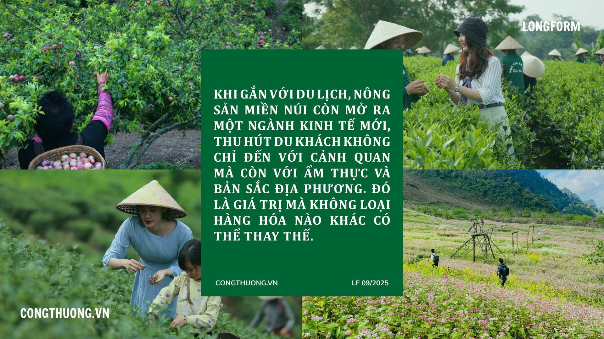 Longform | ‘Khơi thông’ dòng chảy nông sản miền núi bằng xúc tiến thương mại: Bài 1 - 3