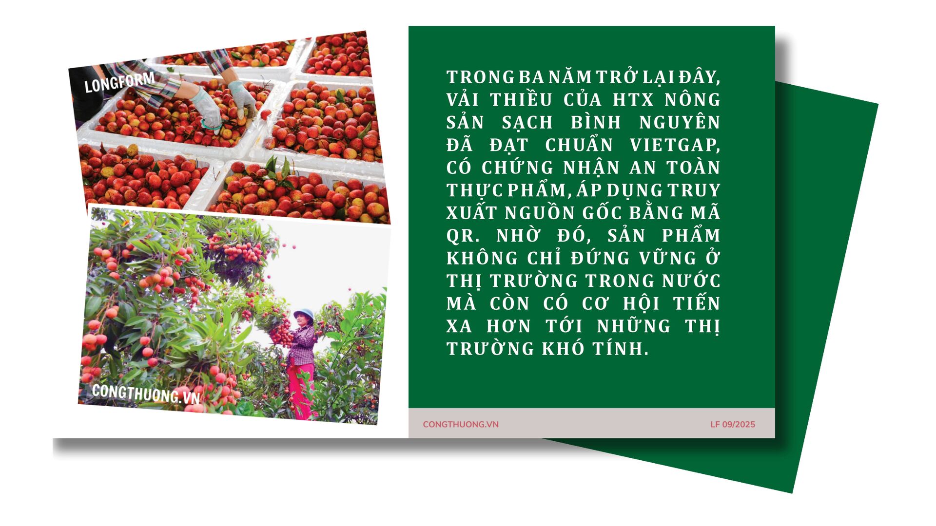 Longform | ‘Khơi thông’ dòng chảy nông sản miền núi bằng xúc tiến thương mại: Bài 1 - 5