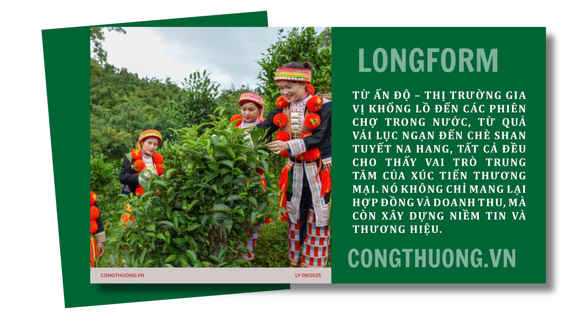 Longform | ‘Khơi thông’ dòng chảy nông sản miền núi bằng xúc tiến thương mại: Bài 1 - 8