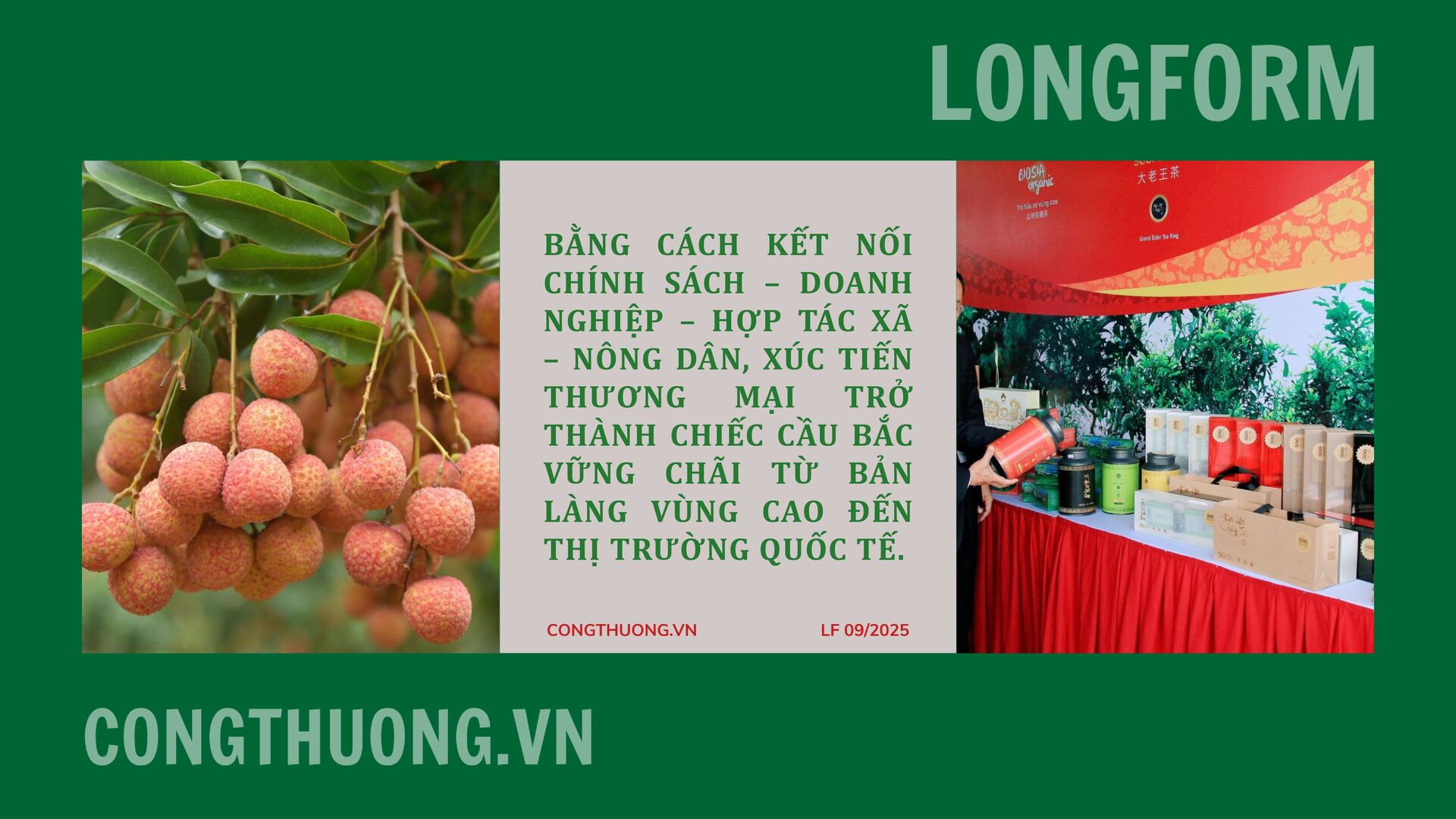 Longform | ‘Khơi thông’ dòng chảy nông sản miền núi bằng xúc tiến thương mại: Bài 1 - 9