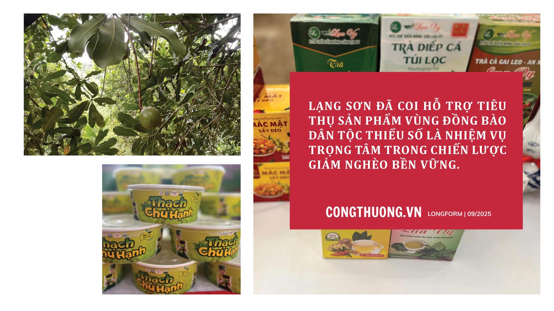 Longform | Nông sản vùng cao mở nhịp cầu sinh kế mới - 5