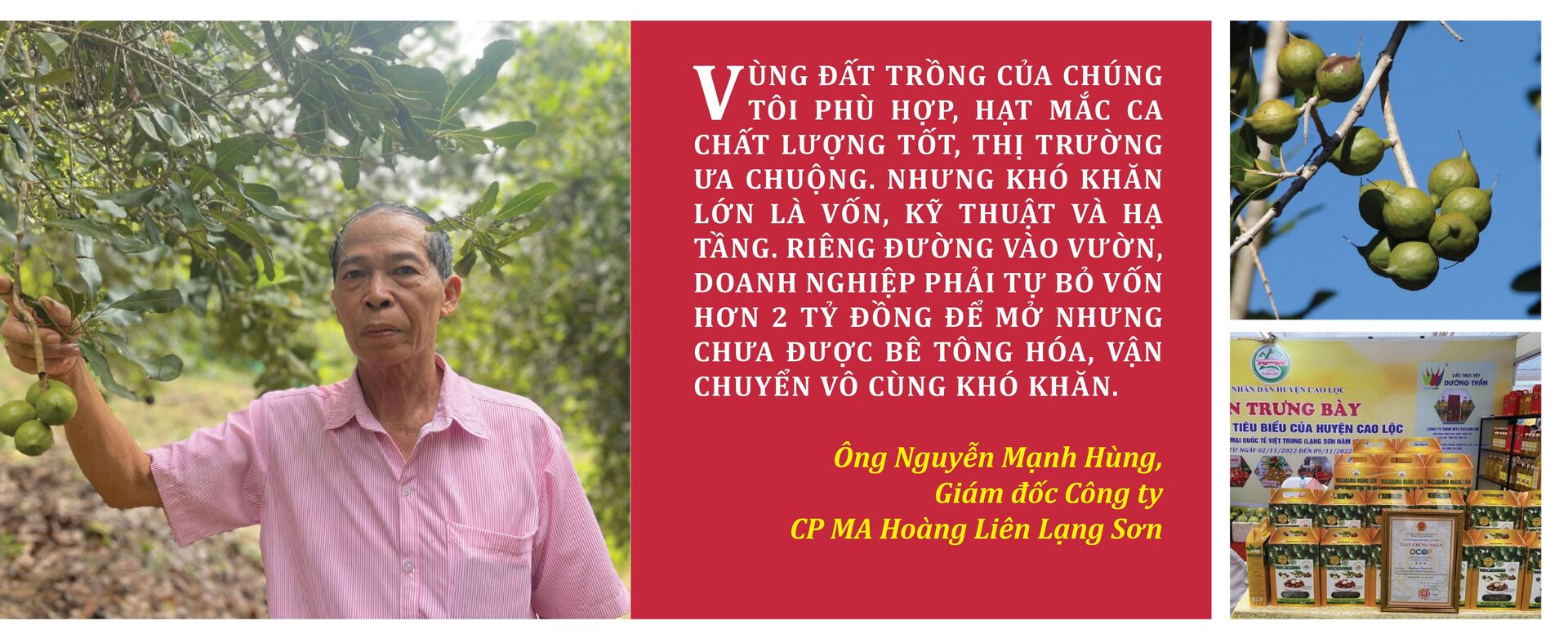 Longform | Nông sản vùng cao mở nhịp cầu sinh kế mới - 6