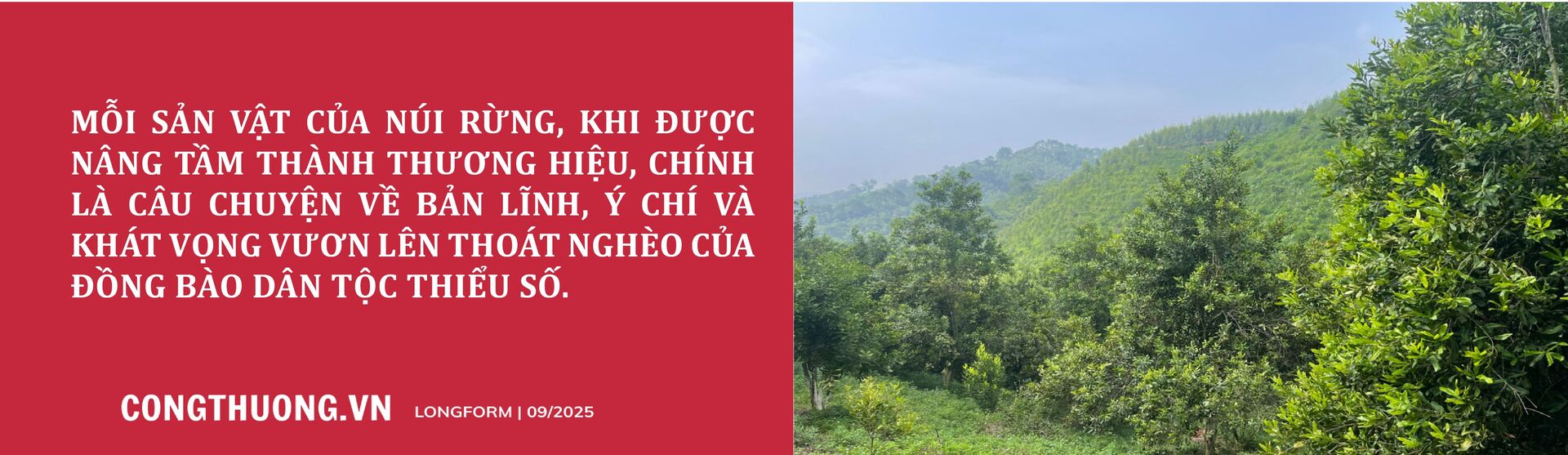 Longform | Nông sản vùng cao mở nhịp cầu sinh kế mới - 9