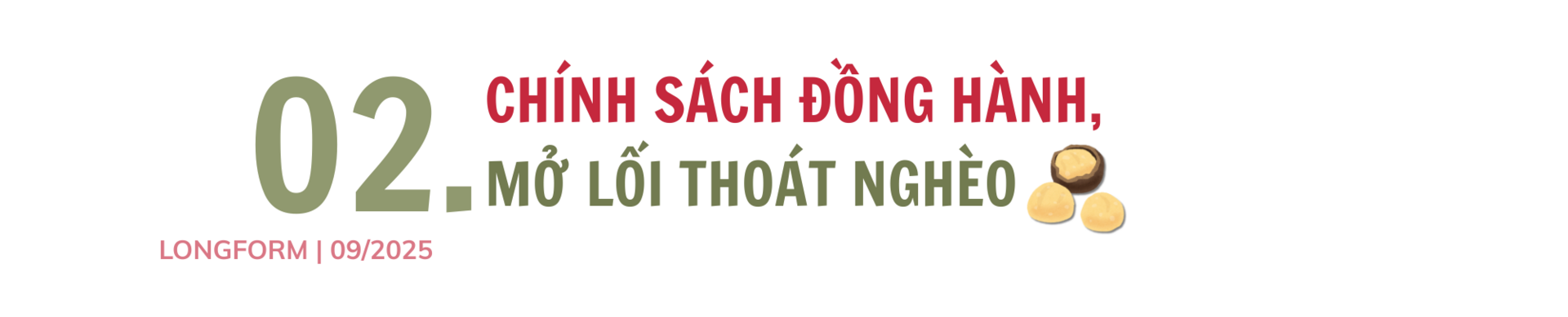 Longform | Nông sản vùng cao mở nhịp cầu sinh kế mới - 4