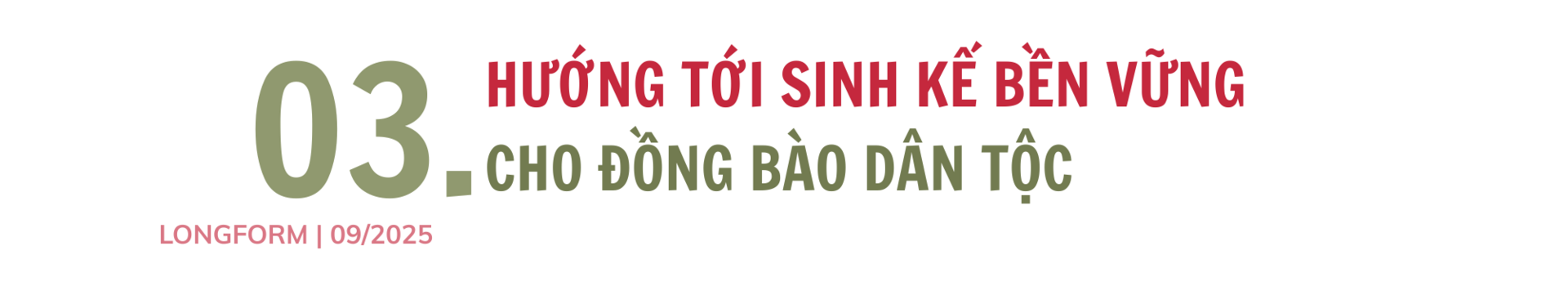 Longform | Nông sản vùng cao mở nhịp cầu sinh kế mới - 7