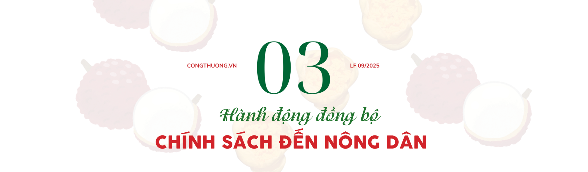 Longform | Tiêu thụ nông sản miền núi bằng xúc tiến thương mại: Bài 2 - 7