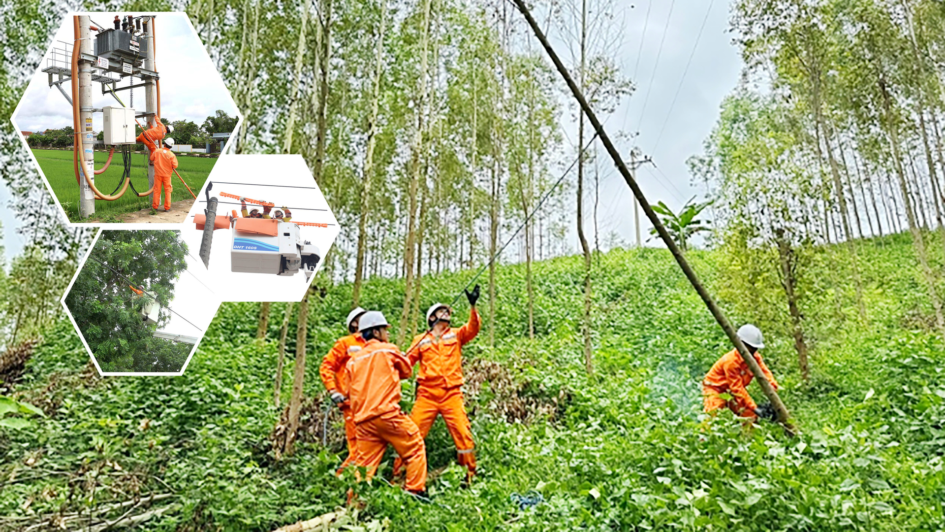 Quản lý lưới điện bằng AI, làm lợi trên 25 tỷ đồng mỗi năm - 13