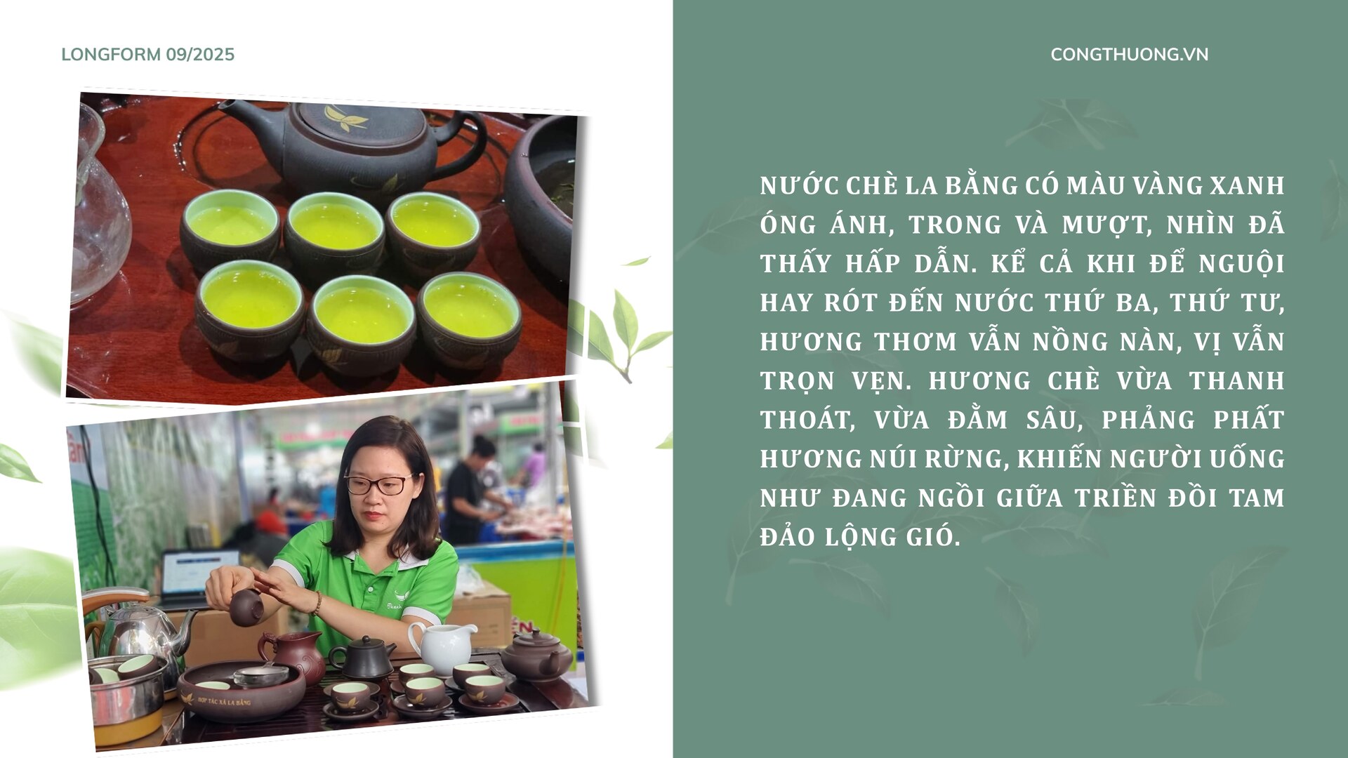 Longform | Chè La Bằng: Ngát hương thơm từ bàn tay đồng bào dân tộc - 3