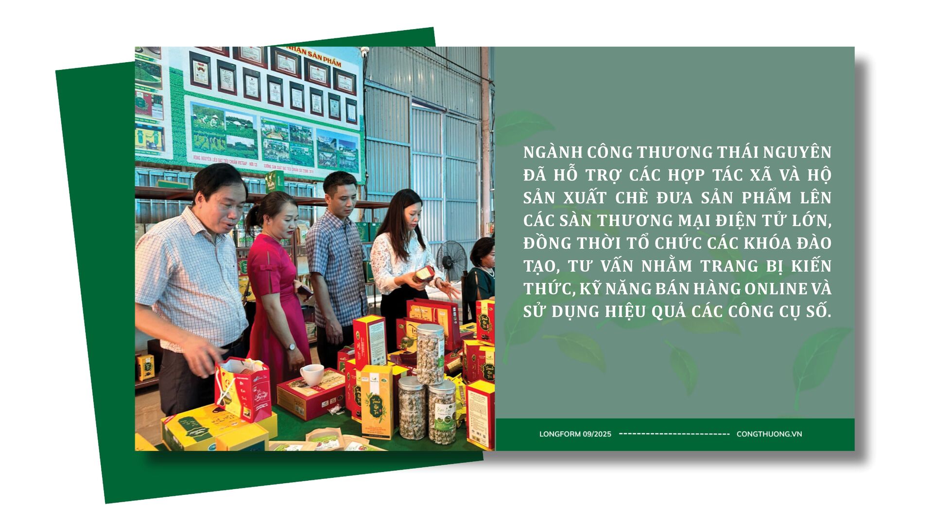 Longform | Chè La Bằng: Ngát hương thơm từ bàn tay đồng bào dân tộc - 9