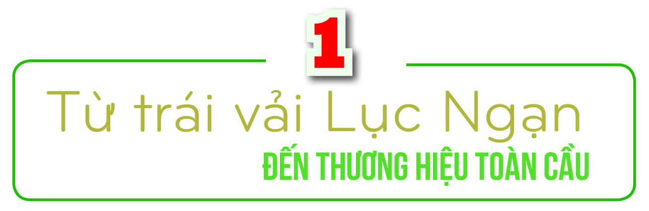 Longform | Nông sản vùng dân tộc thiểu số: Khát vọng vươn ra toàn cầu - 1