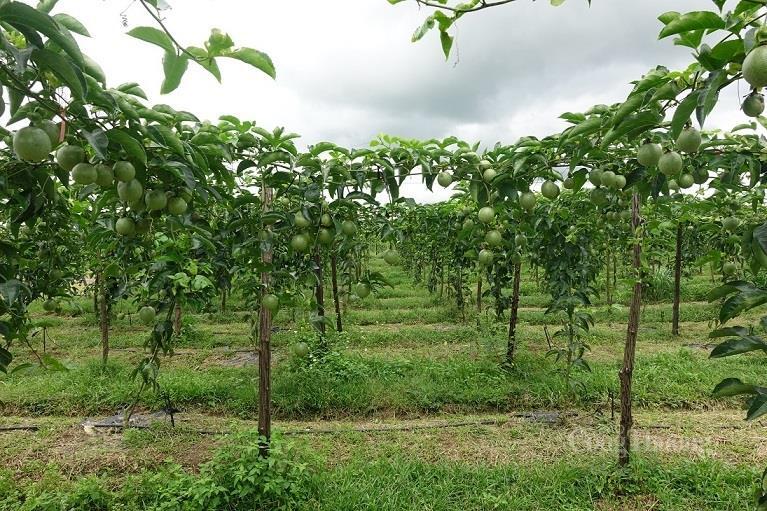 Công nghiệp dẫn dắt khát vọng Quảng Ngãi 2030 - Bài 2: Phác họa bức tranh công nghiệp sau sáp nhập - 8