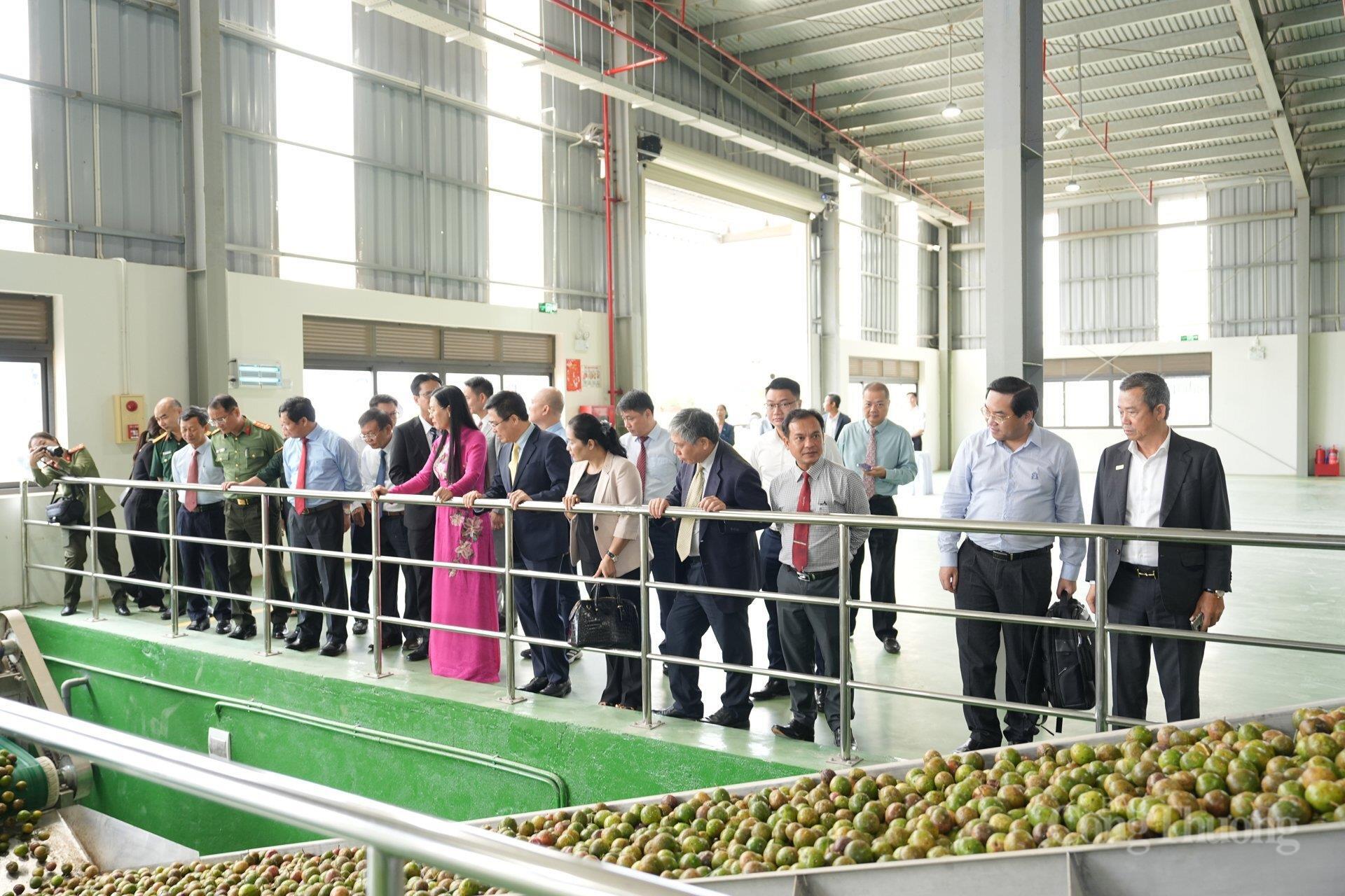 Công nghiệp dẫn dắt khát vọng Quảng Ngãi 2030 - Bài 2: Phác họa bức tranh công nghiệp sau sáp nhập - 5