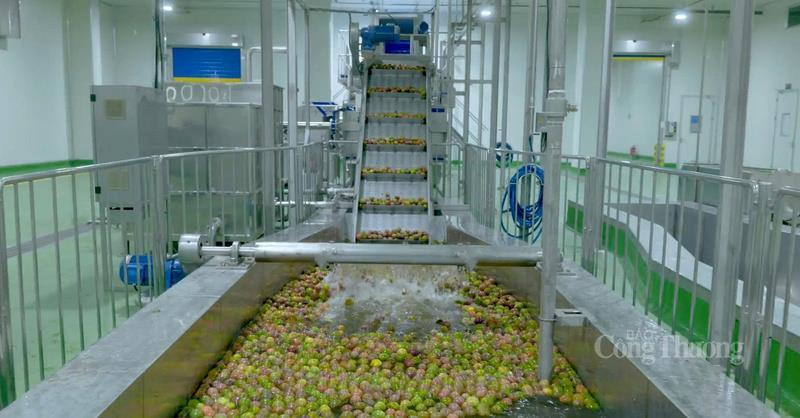 Công nghiệp dẫn dắt khát vọng Quảng Ngãi 2030 - Bài 2: Phác họa bức tranh công nghiệp sau sáp nhập - 9