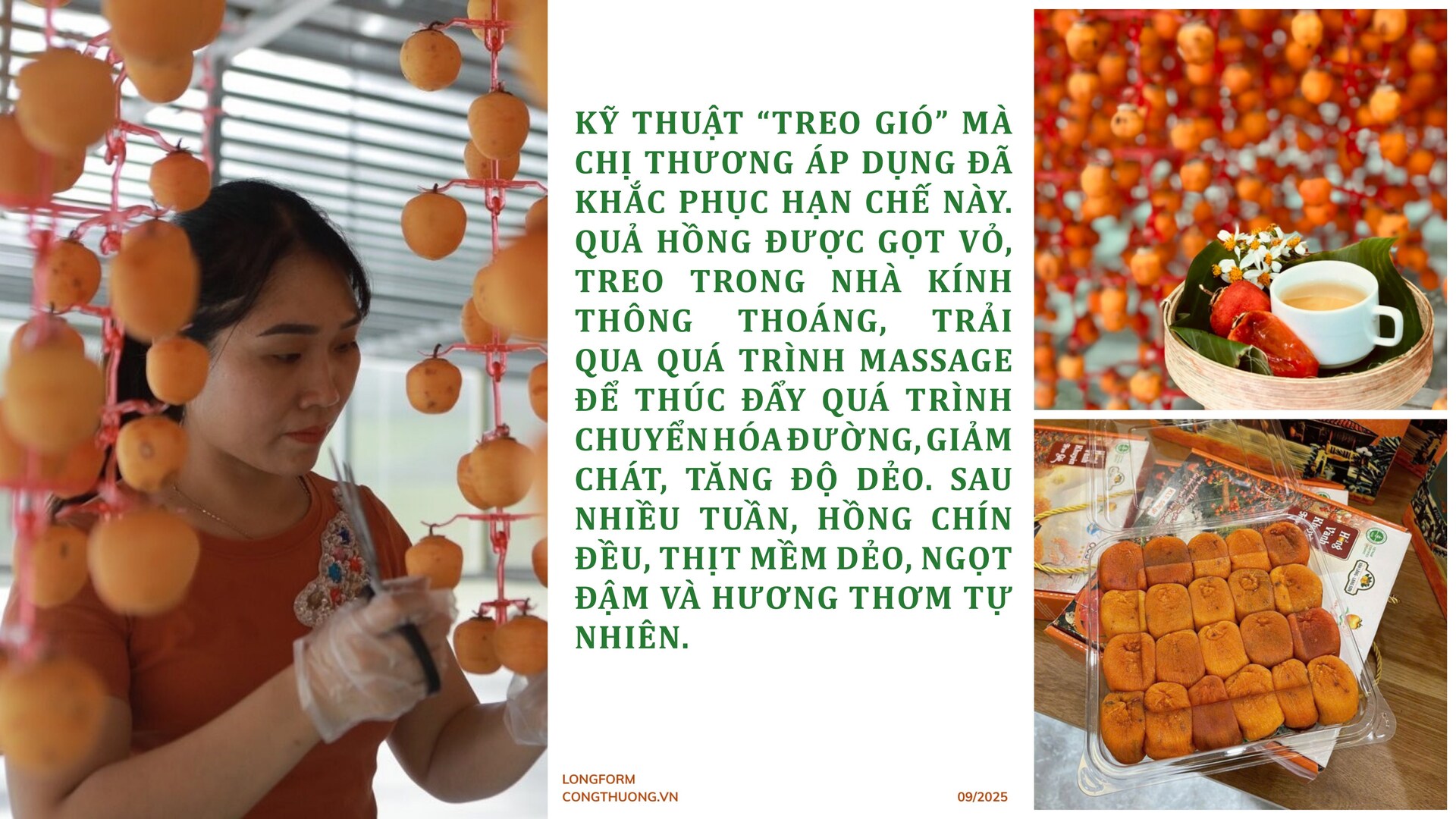 Longform | Người phụ nữ Nùng nâng tầm thương hiệu hồng vành khuyên - 4