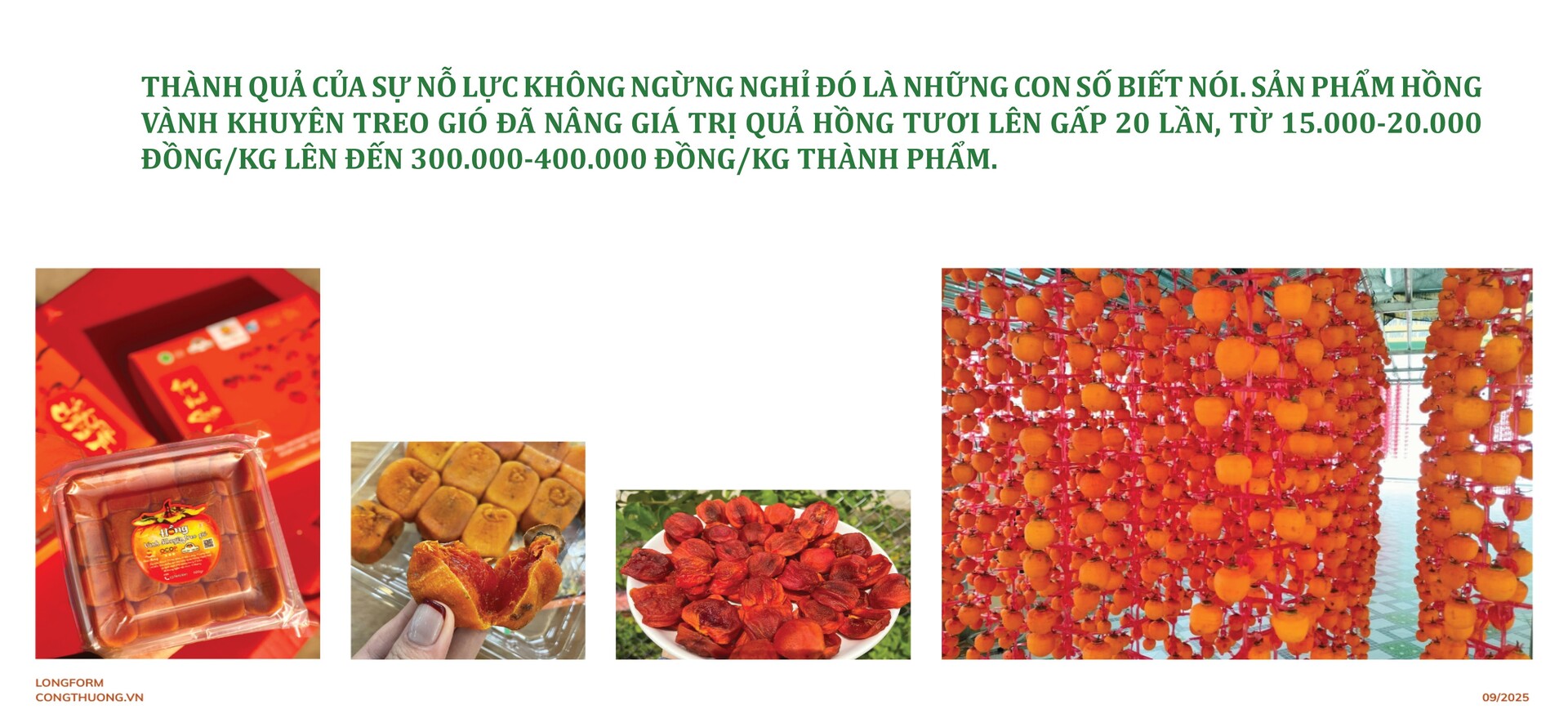 Longform | Người phụ nữ Nùng nâng tầm thương hiệu hồng vành khuyên - 7