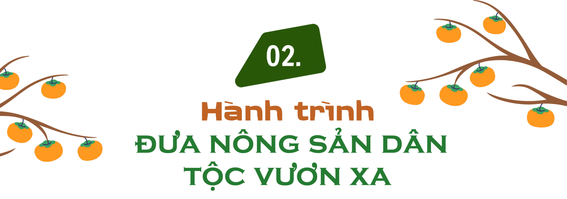 Longform | Người phụ nữ Nùng nâng tầm thương hiệu hồng vành khuyên - 5