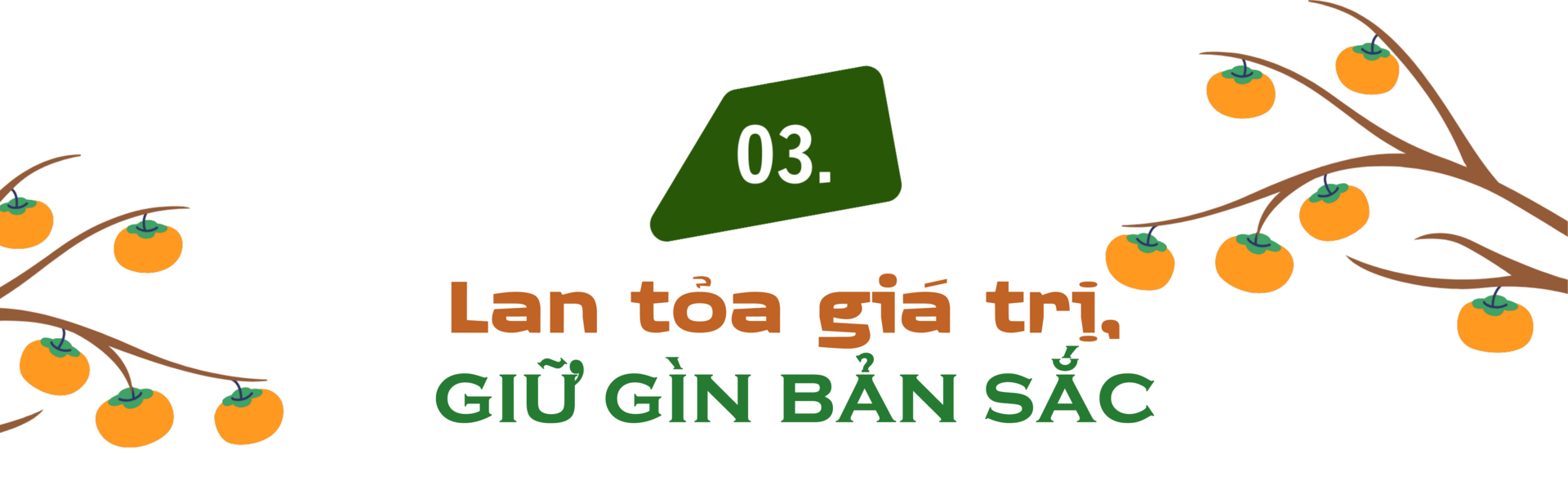 Longform | Người phụ nữ Nùng nâng tầm thương hiệu hồng vành khuyên - 8