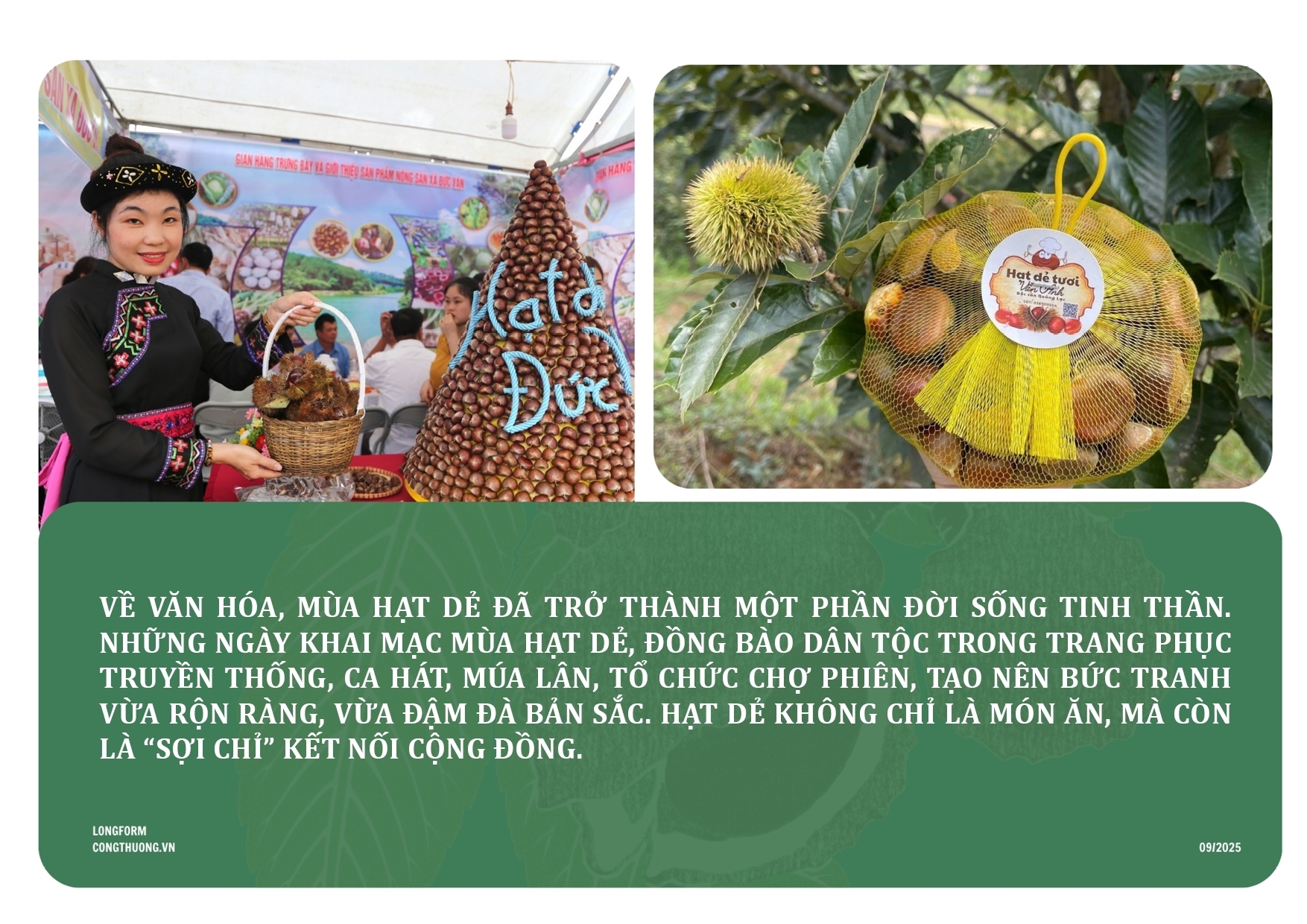 Longform | Thảo thơm hạt dẻ Lạng Sơn - 8