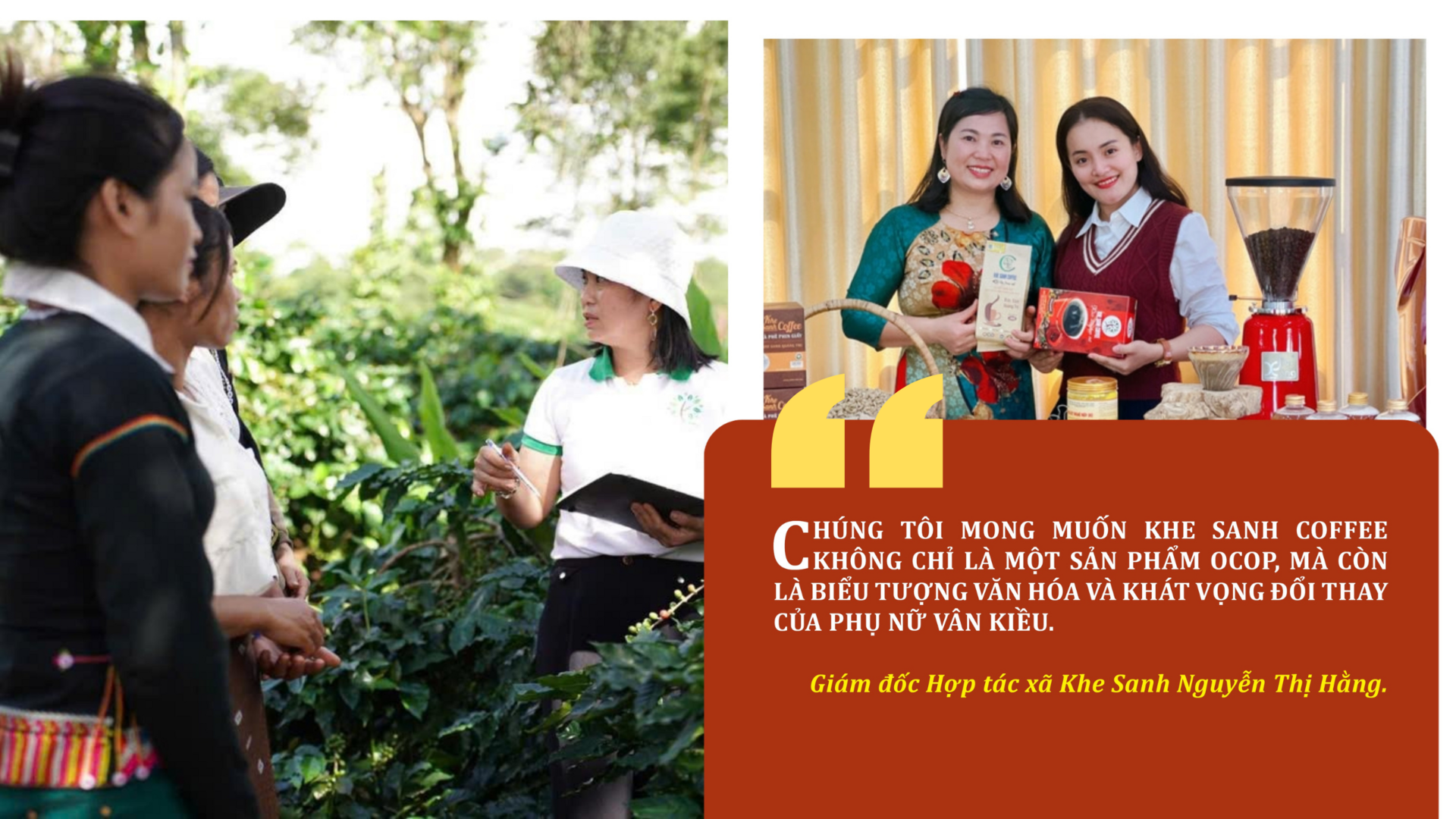 Longform | Ba hành trình, một khát vọng nâng tầm cà phê Việt - 9