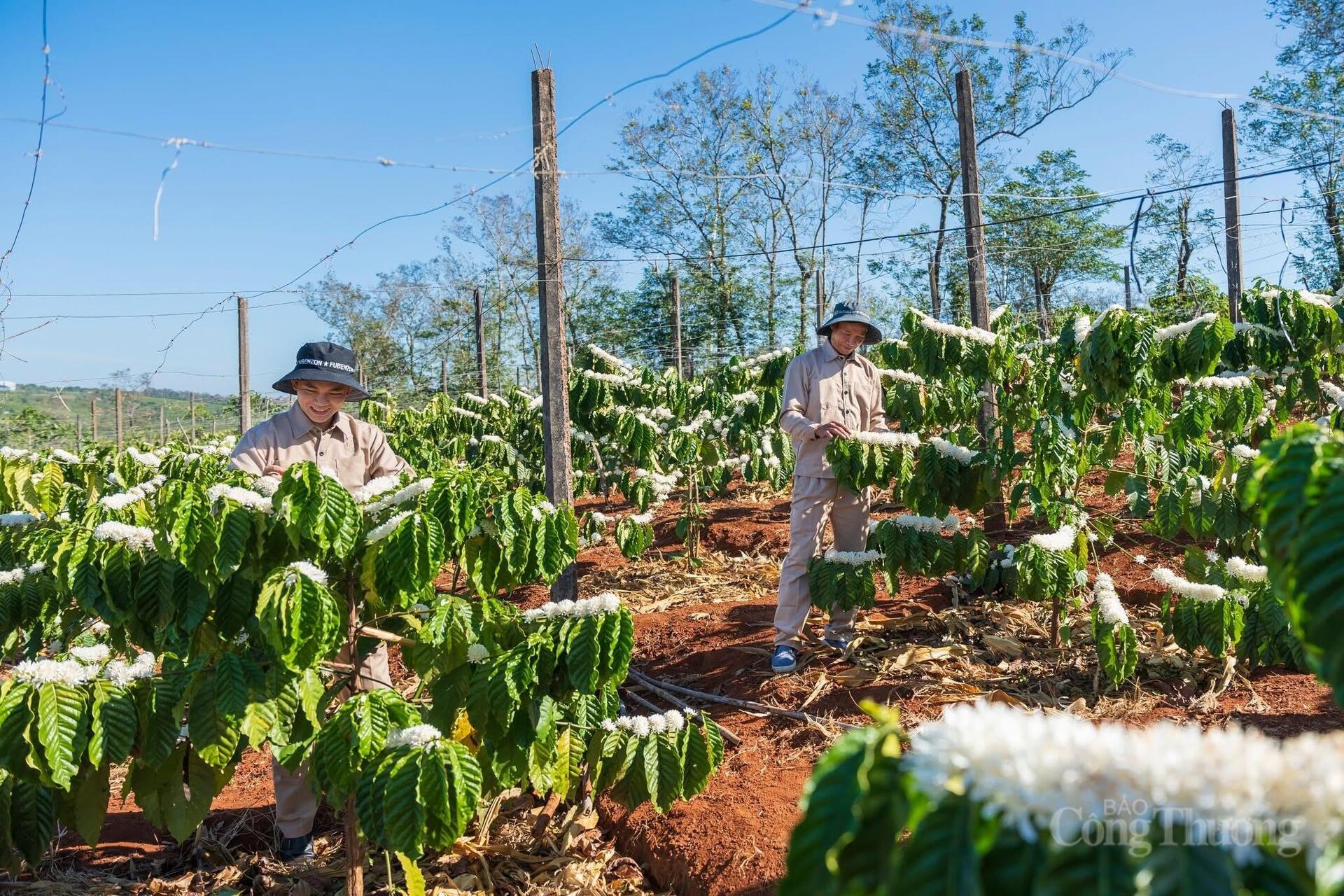 Công Thương Gia Lai vững bước hội nhập - Bài 1: Lợi thế hai trong một  - 12