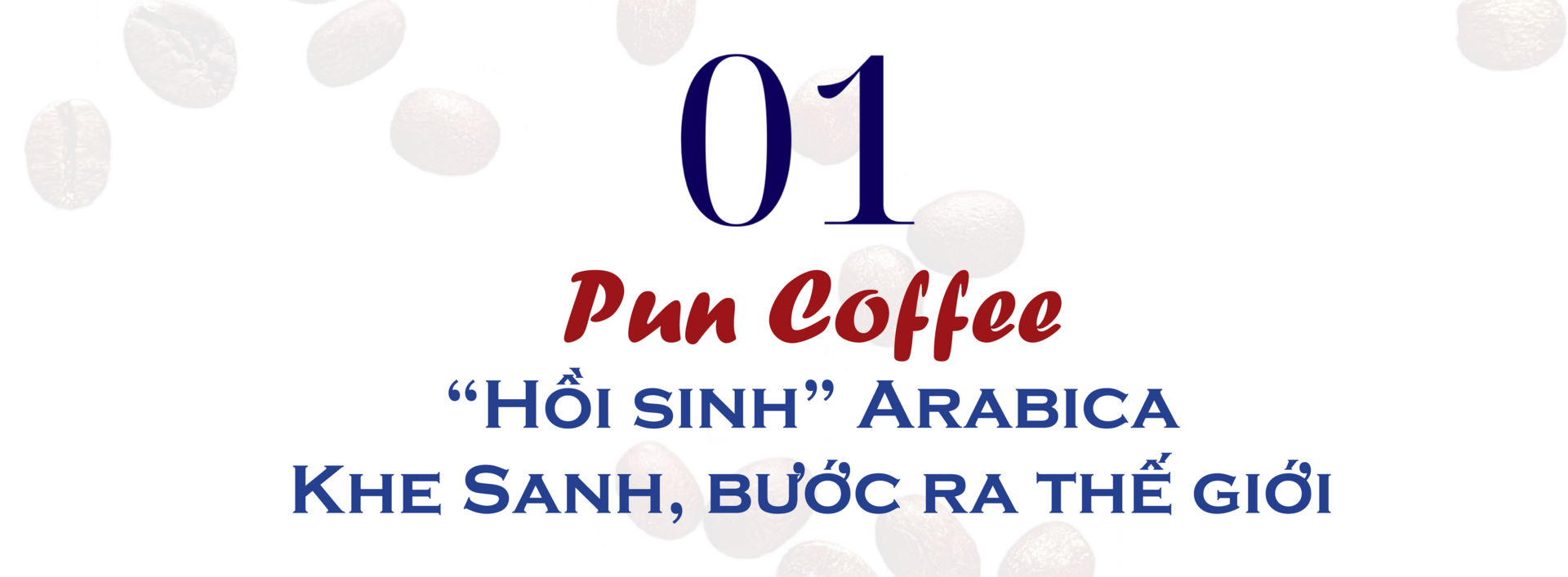 Longform | Ba hành trình, một khát vọng nâng tầm cà phê Việt - 1