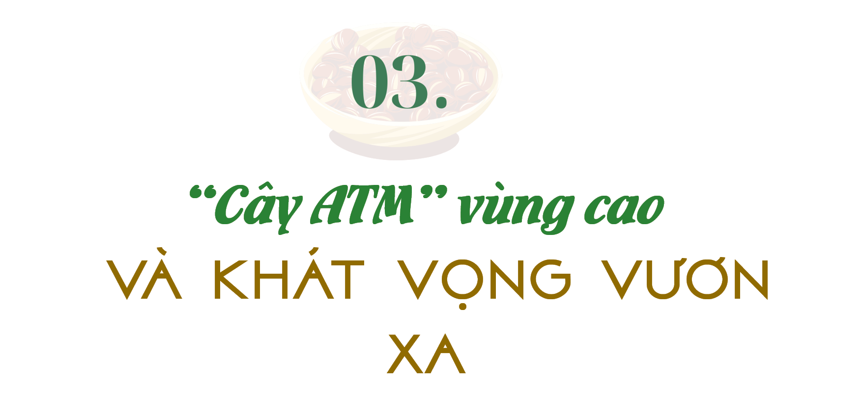 Longform | Thảo thơm hạt dẻ Lạng Sơn - 7