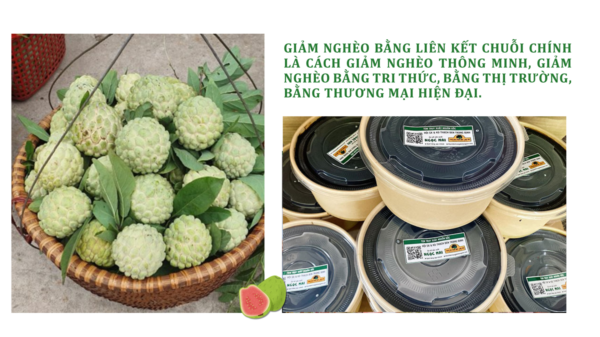 Longform | Giảm nghèo bền vững từ liên kết chuỗi - 10