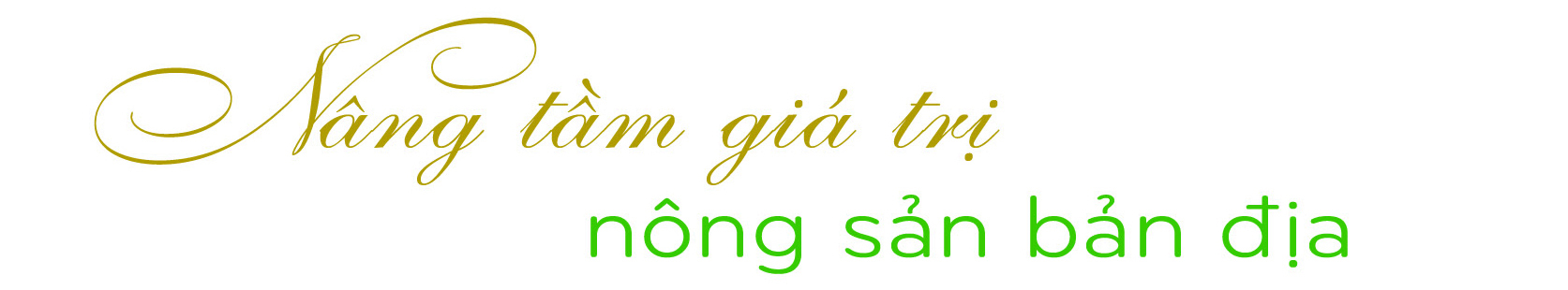 Longform | Thái Nguyên: Nâng cao giá trị nông sản đồng bào dân tộc - 4