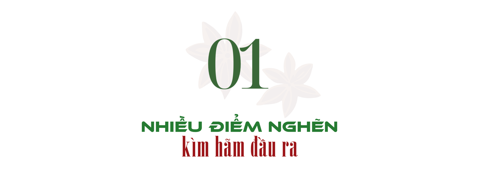 Longform | Giảm nghèo bền vững từ liên kết chuỗi - 1