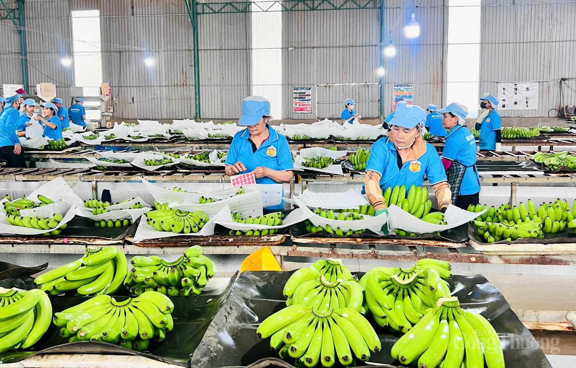 Công Thương Gia Lai vững bước hội nhập - Bài 2: Kiến tạo không gian mới đưa công nghiệp bứt phá - 6