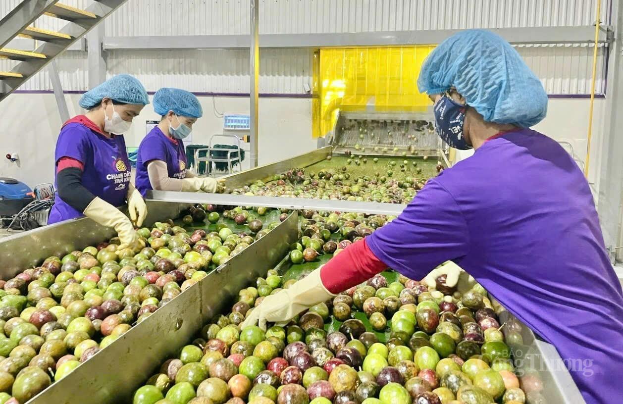 Công Thương Gia Lai vững bước hội nhập - Bài 2: Kiến tạo không gian mới đưa công nghiệp bứt phá - 14