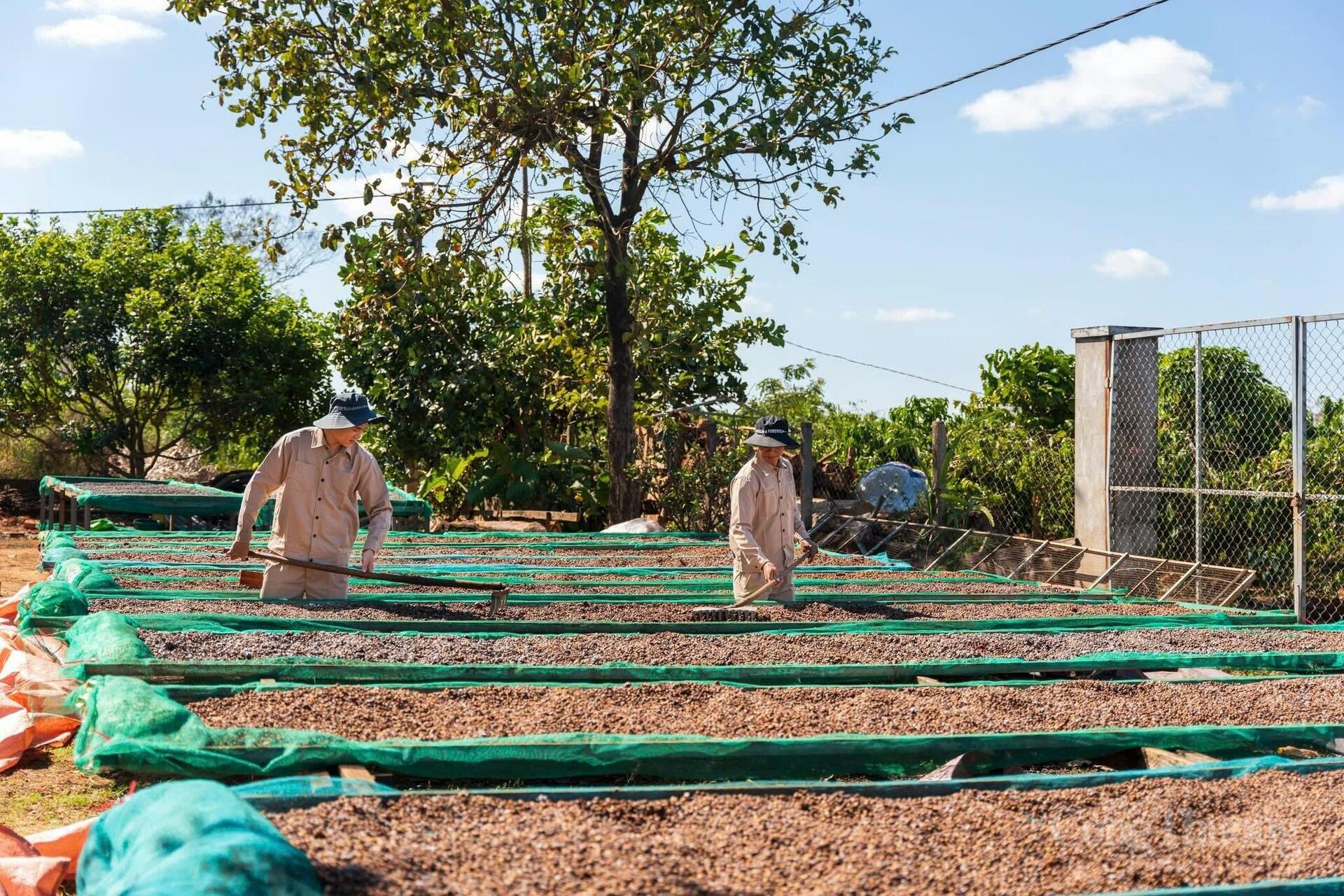 Công Thương Gia Lai vững bước hội nhập - Bài 2: Kiến tạo không gian mới đưa công nghiệp bứt phá - 2