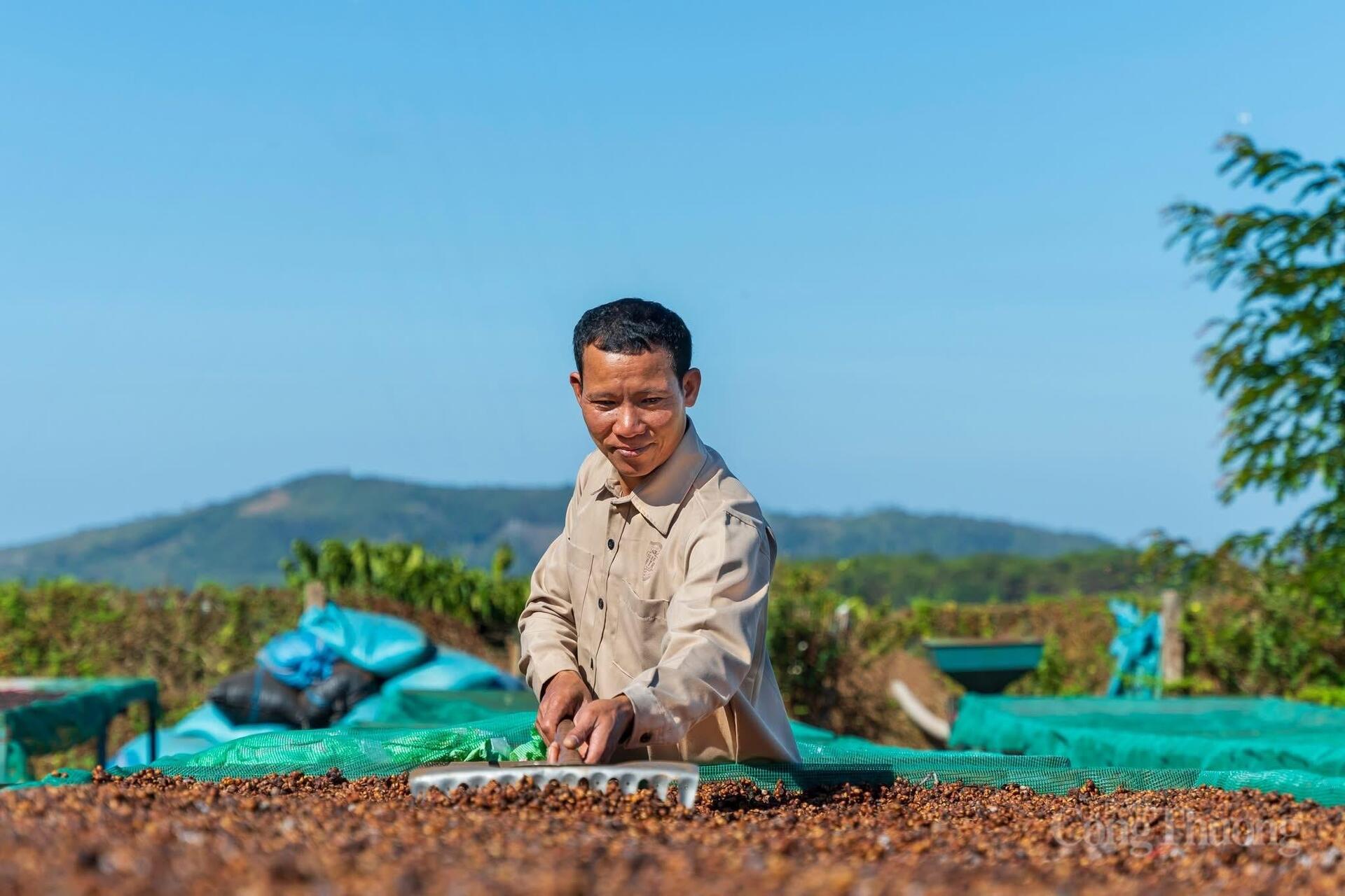 Công Thương Gia Lai vững bước hội nhập - Bài 2: Kiến tạo không gian mới đưa công nghiệp bứt phá - 12