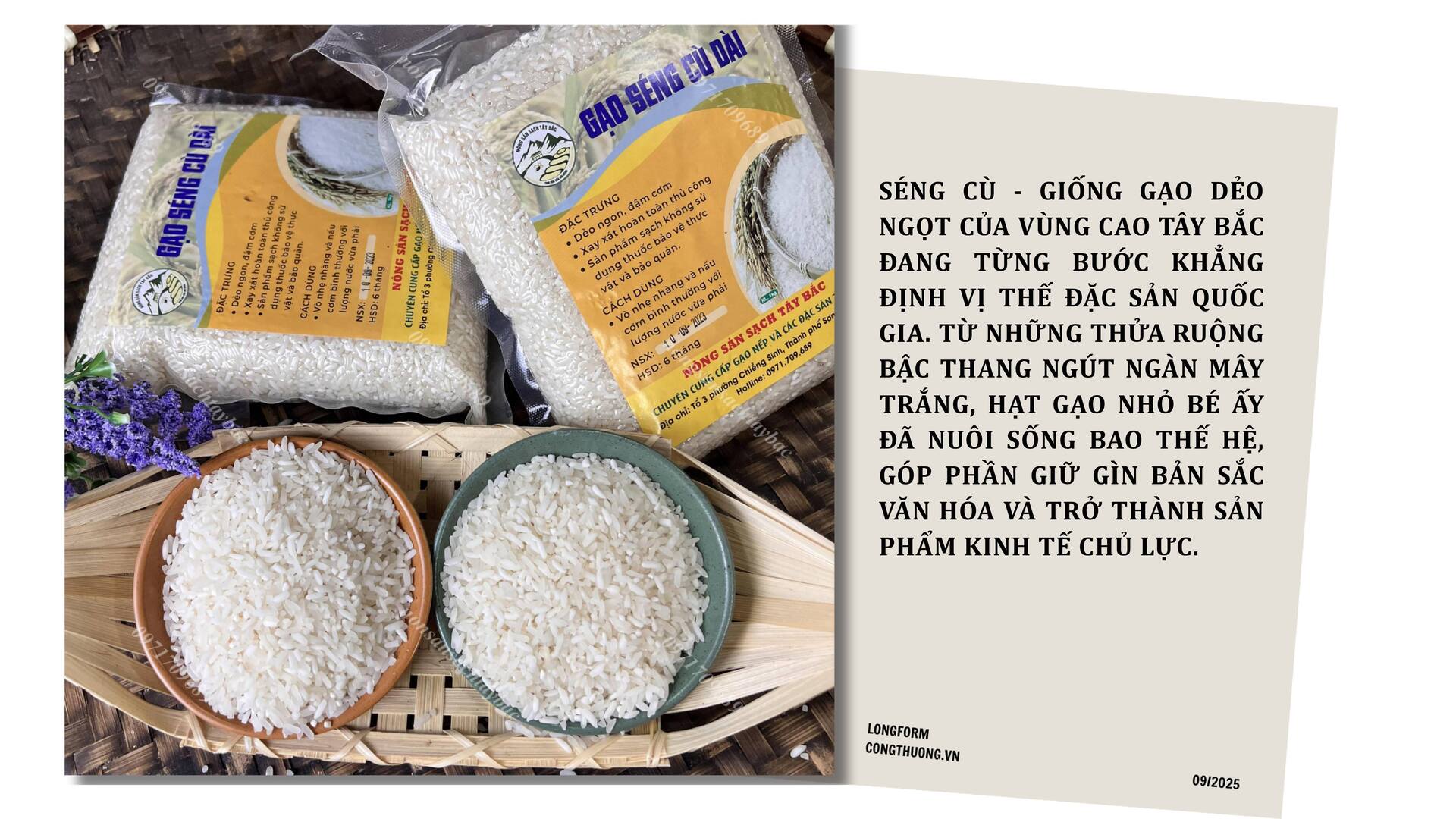 Longform | Gạo Séng Cù: Hạt ngọc núi rừng thành thương hiệu đặc sản - 8