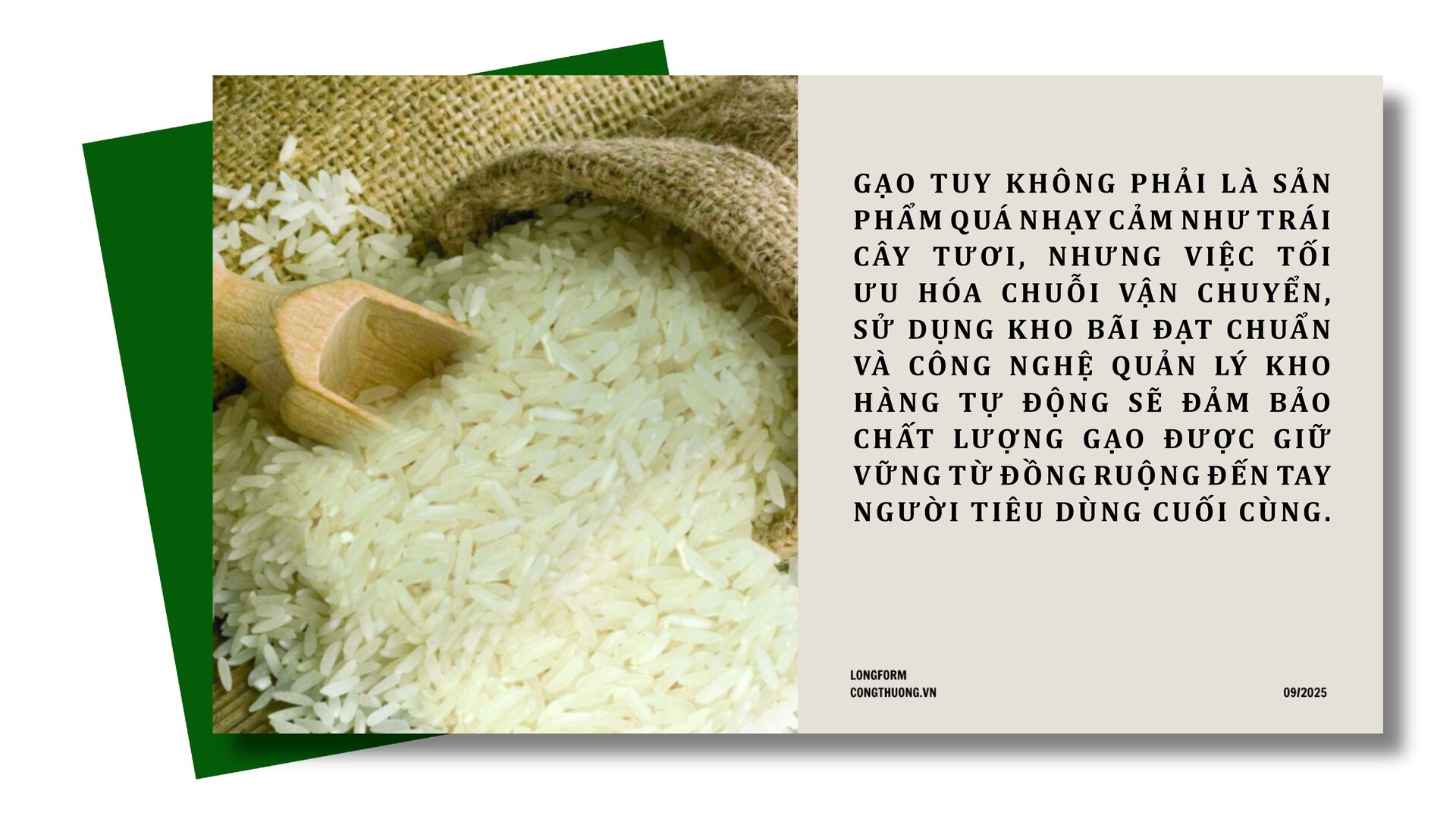 Longform | Gạo Séng Cù: Hạt ngọc núi rừng thành thương hiệu đặc sản - 9