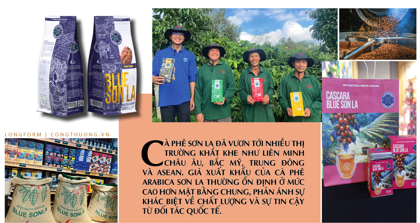 Longform | Cà phê Sơn La: Tiềm năng bản địa và dấu ấn Phúc Sinh - 3