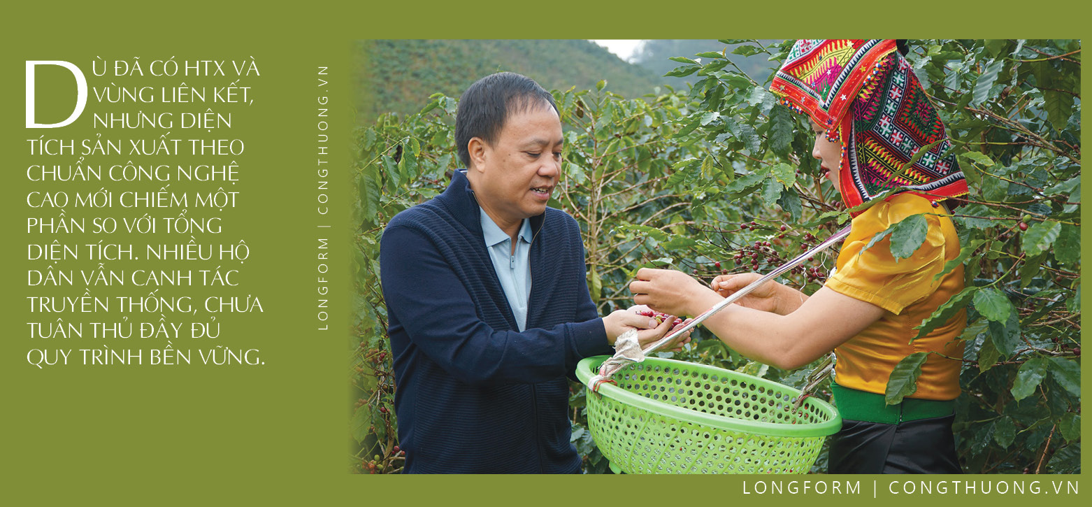 Longform | Cà phê Sơn La: Tiềm năng bản địa và dấu ấn Phúc Sinh - 8