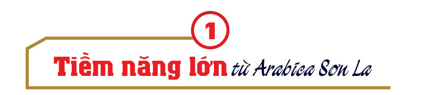 Longform | Cà phê Sơn La: Tiềm năng bản địa và dấu ấn Phúc Sinh - 1
