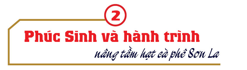 Longform | Cà phê Sơn La: Tiềm năng bản địa và dấu ấn Phúc Sinh - 4