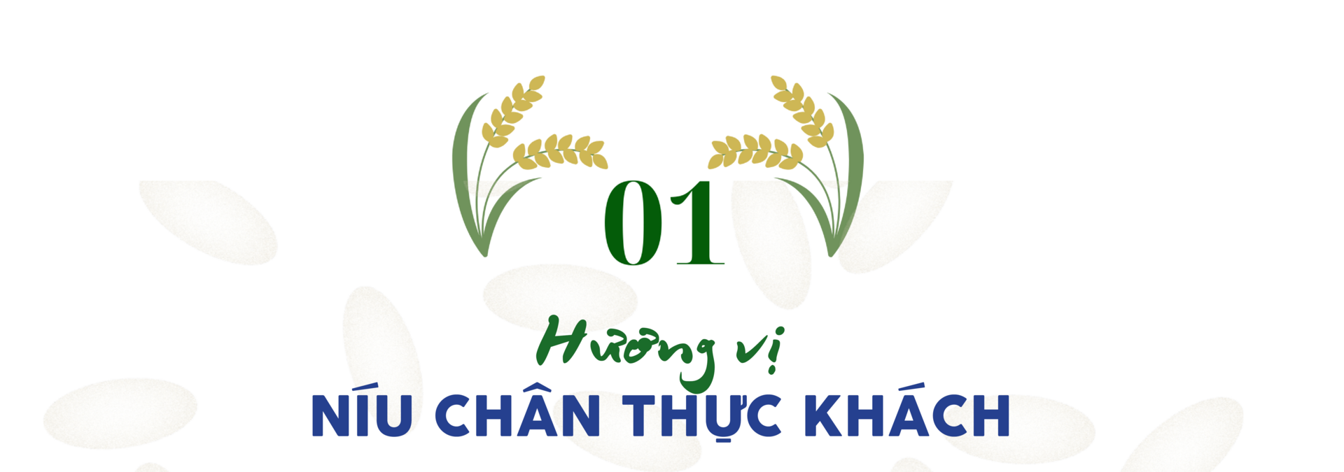 Longform | Gạo Séng Cù: Hạt ngọc núi rừng thành thương hiệu đặc sản - 1