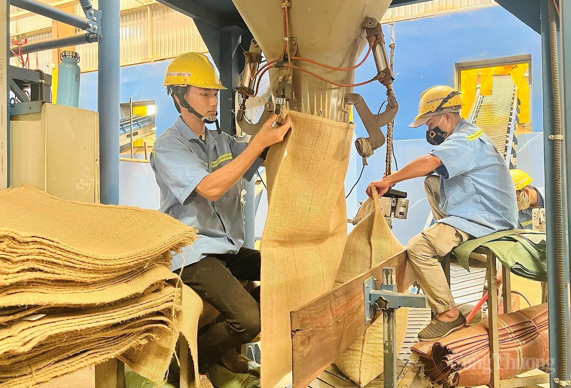 Công Thương Gia Lai vững bước hội nhập - Bài 4: Thương mại mở đường tăng trưởng - 2