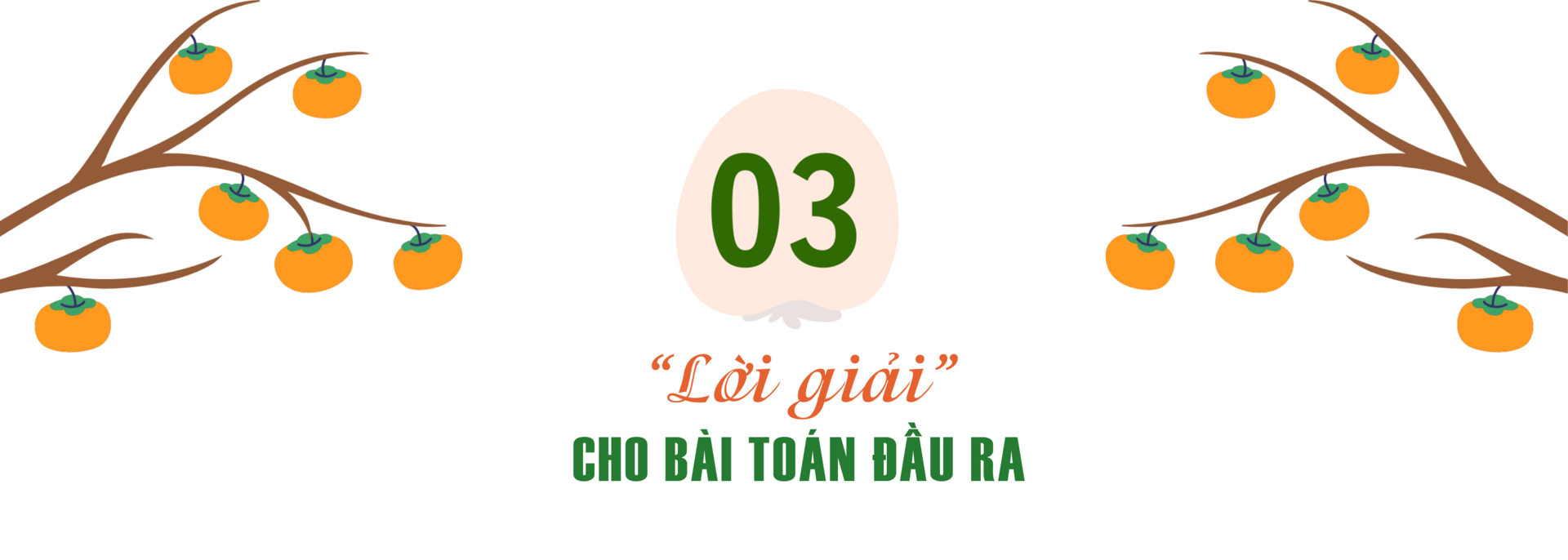Longform | Hồng da tre: Sản phẩm ‘mở lối’ phát triển kinh tế bản địa - 7